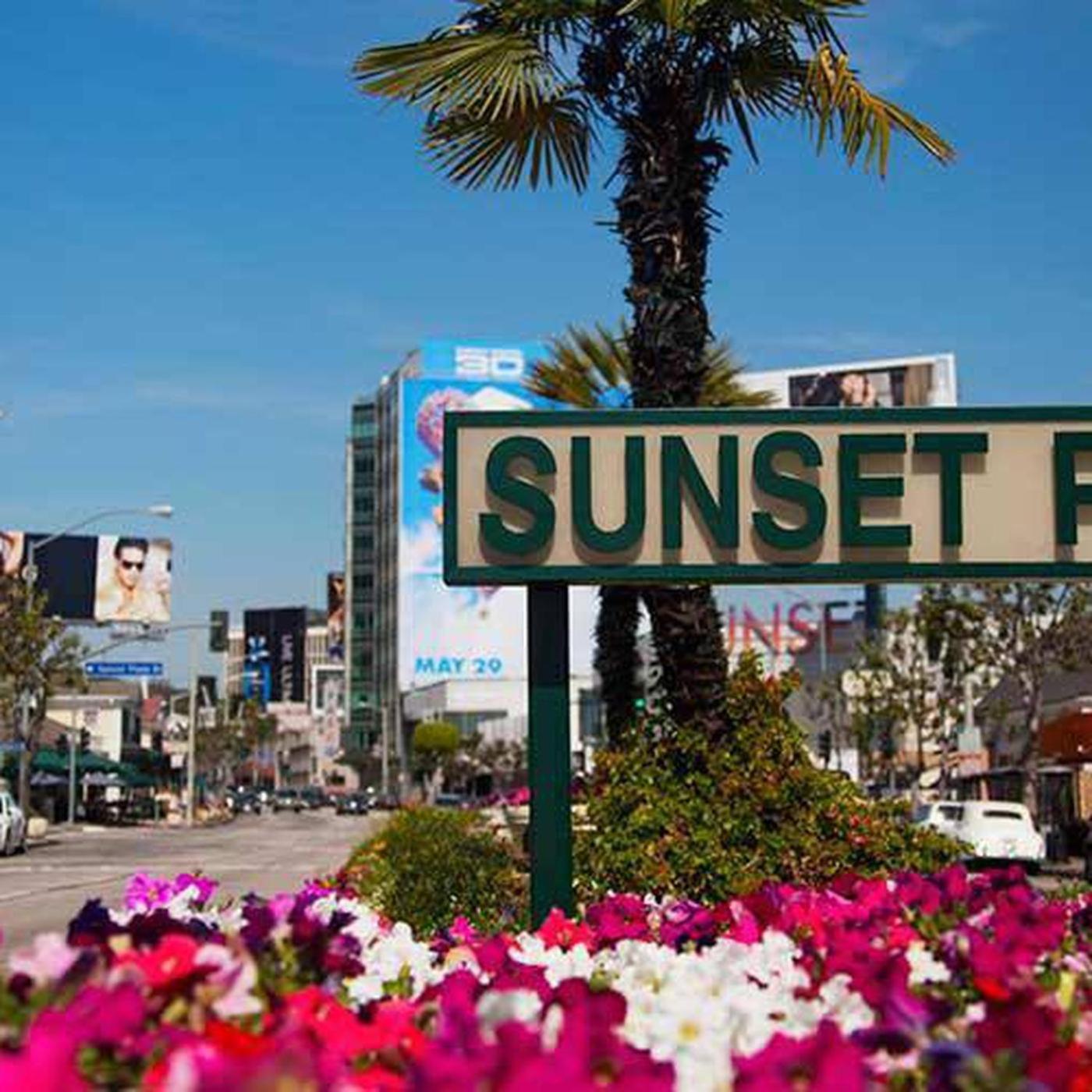 Amazing Large 2 Bedroom West Hollywood Apartment 로스앤젤레스 외부 사진
